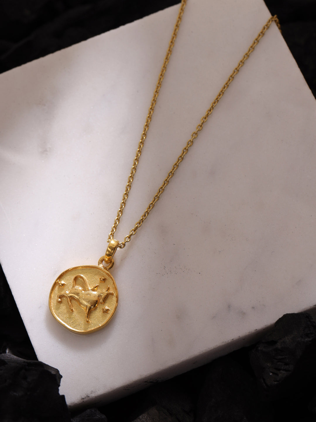 Zodiac solid coin necklace