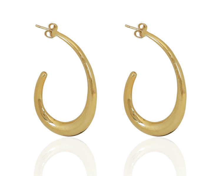 Glossy Curved Earrings